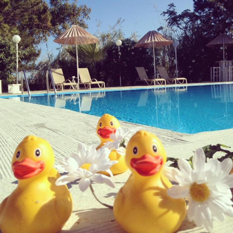 Home Hotel (Adults Only) Hersonissos  Bilik gambar